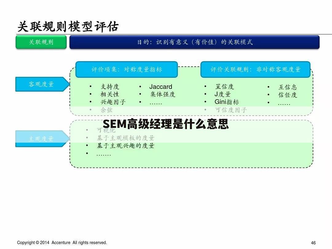SEM高级经理是什么意思