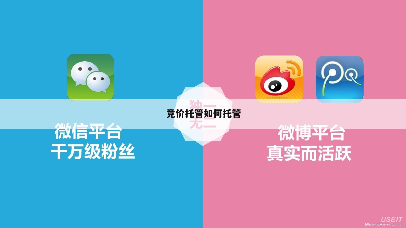 竞价托管如何托管