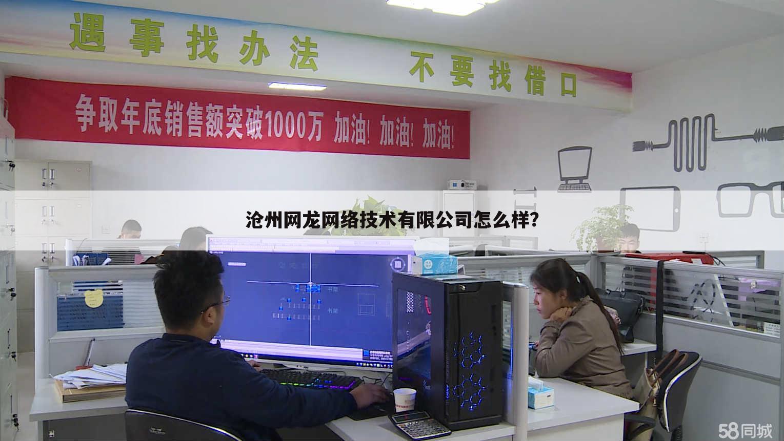 沧州网龙网络技术有限公司怎么样?