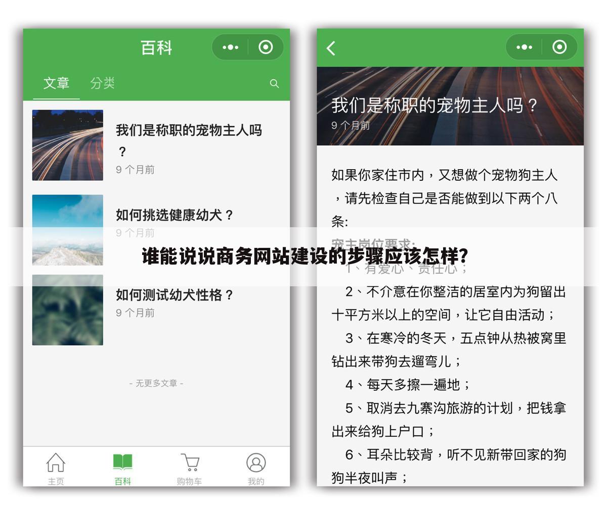谁能说说商务网站建设的步骤应该怎样?