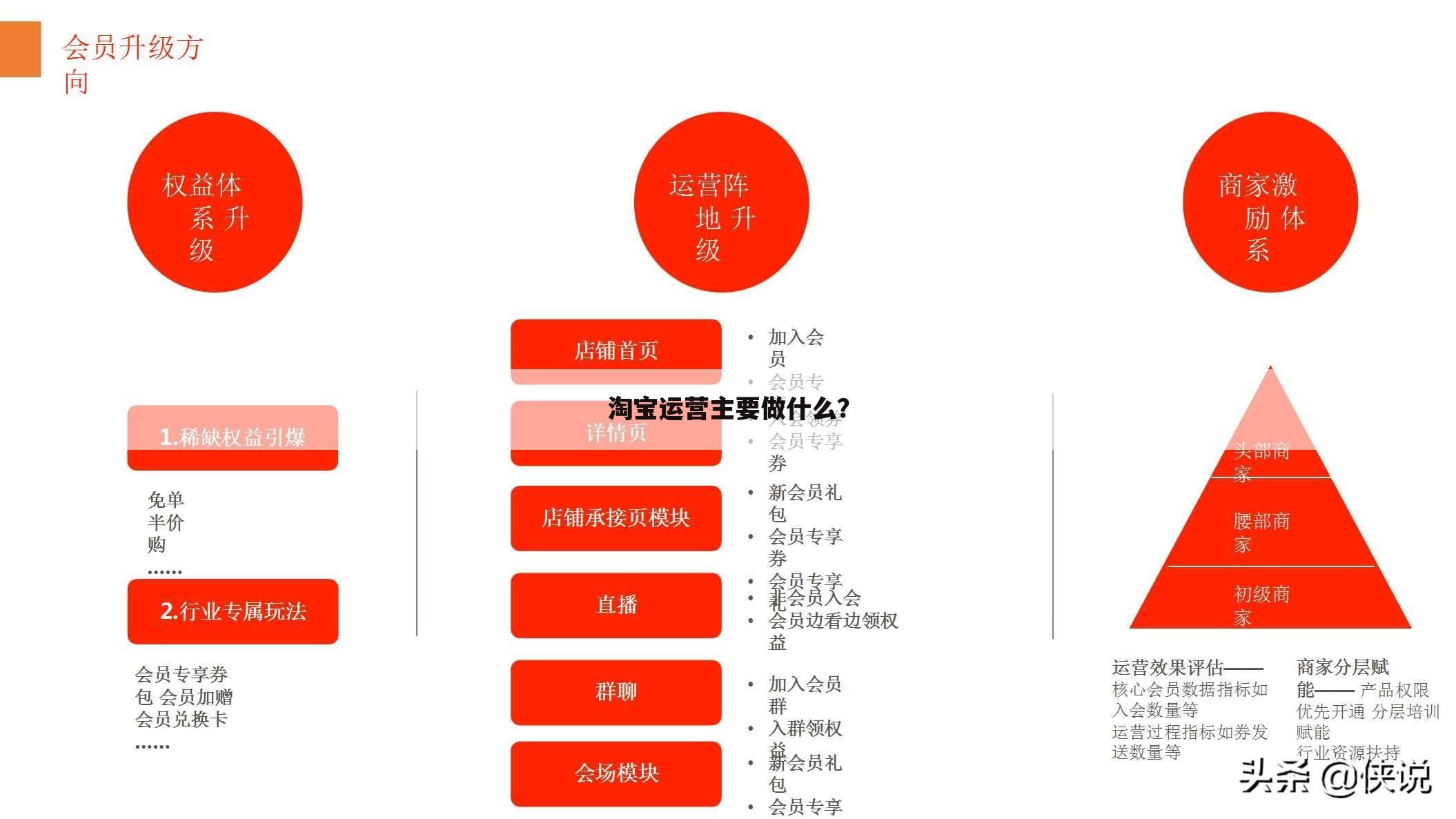 淘宝运营主要做什么？