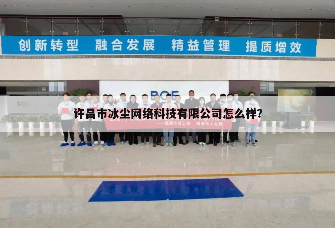 许昌市冰尘网络科技有限公司怎么样?