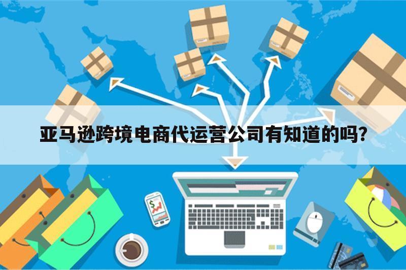 亚马逊跨境电商代运营公司有知道的吗？
