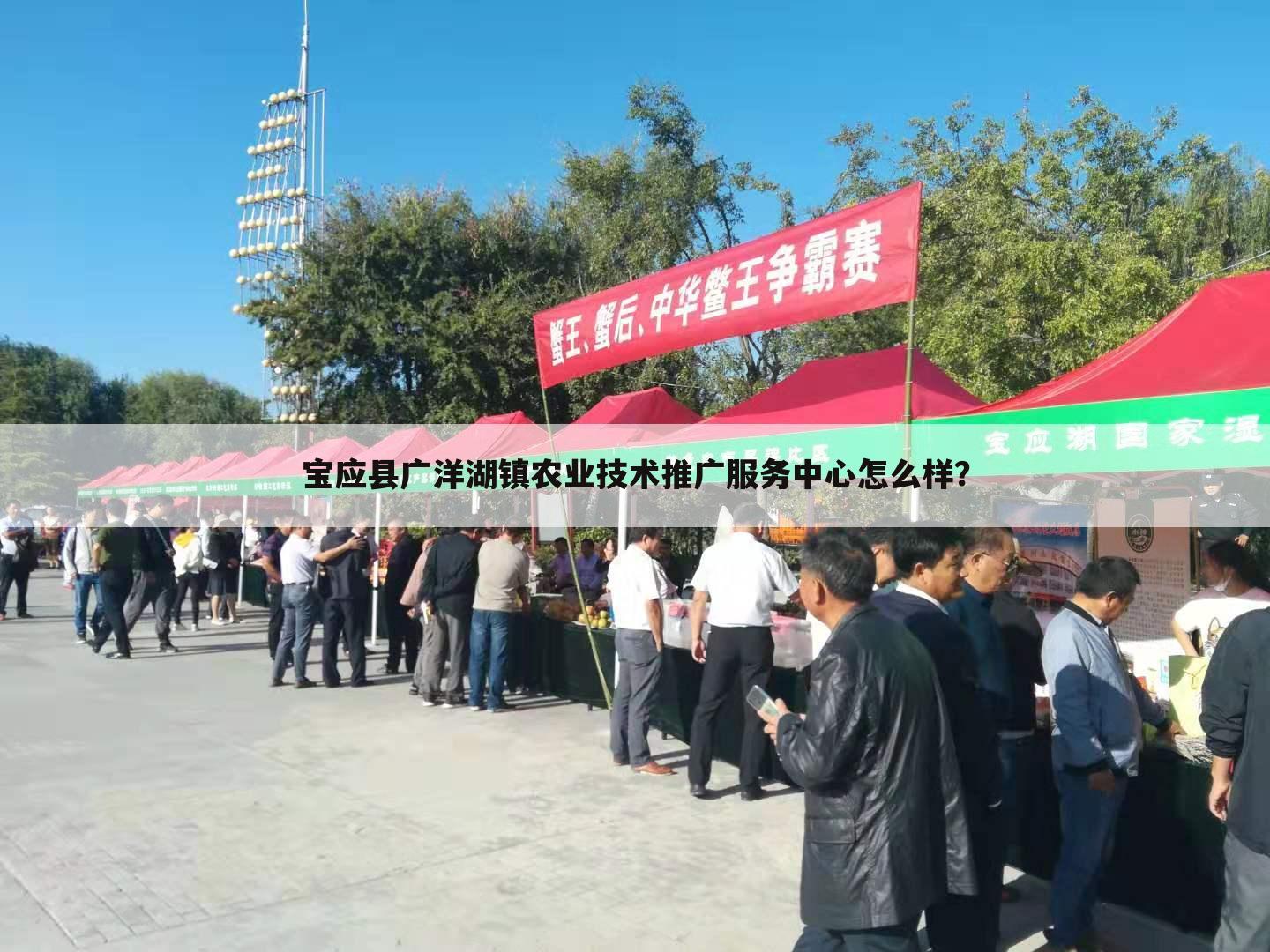 宝应县广洋湖镇农业技术推广服务中心怎么样?