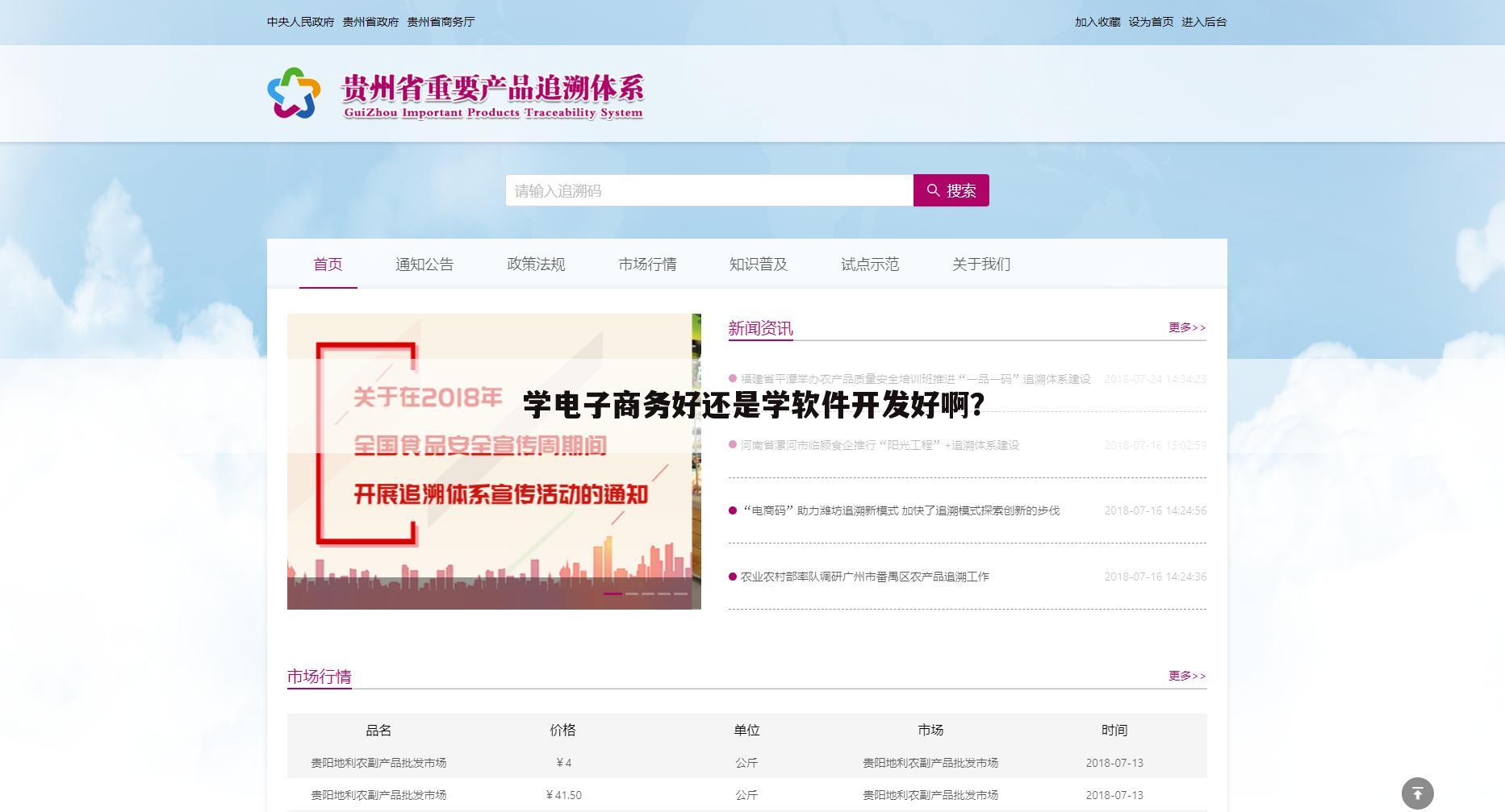 学电子商务好还是学软件开发好啊?