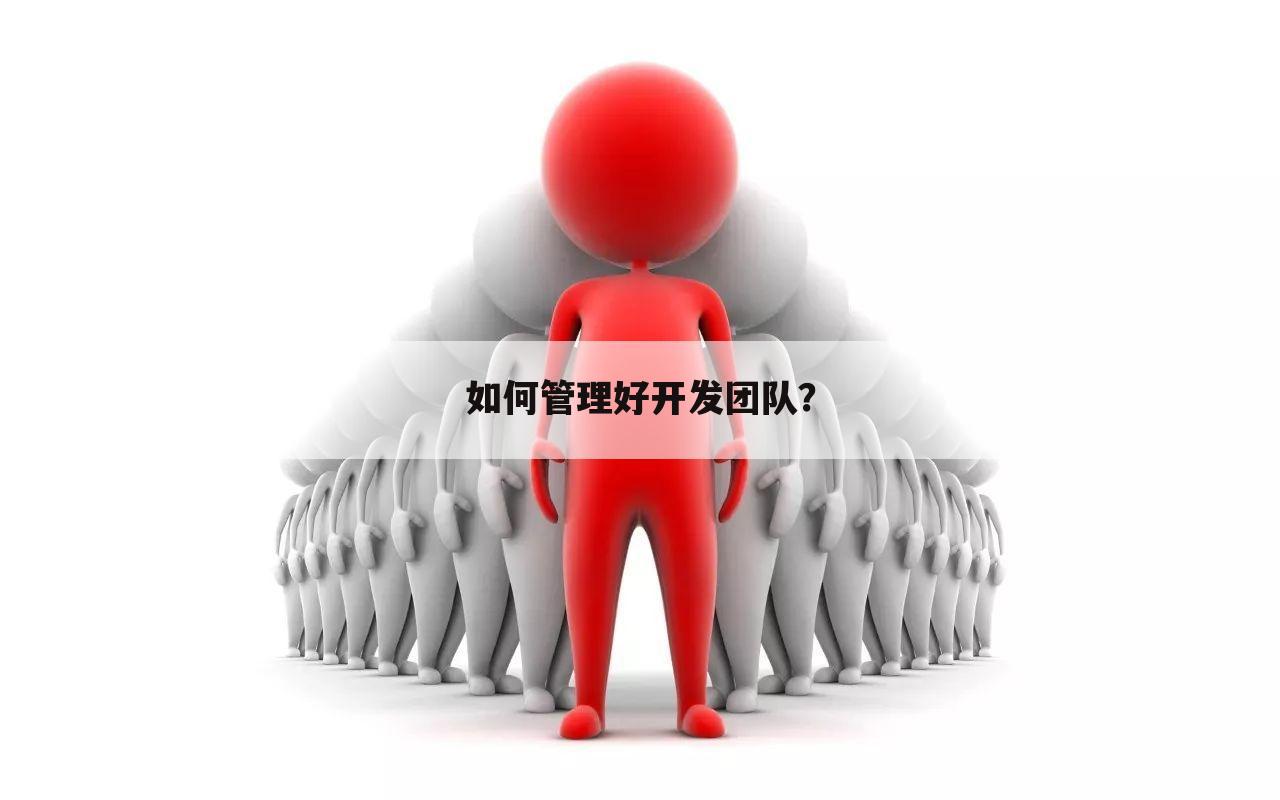 如何管理好开发团队?