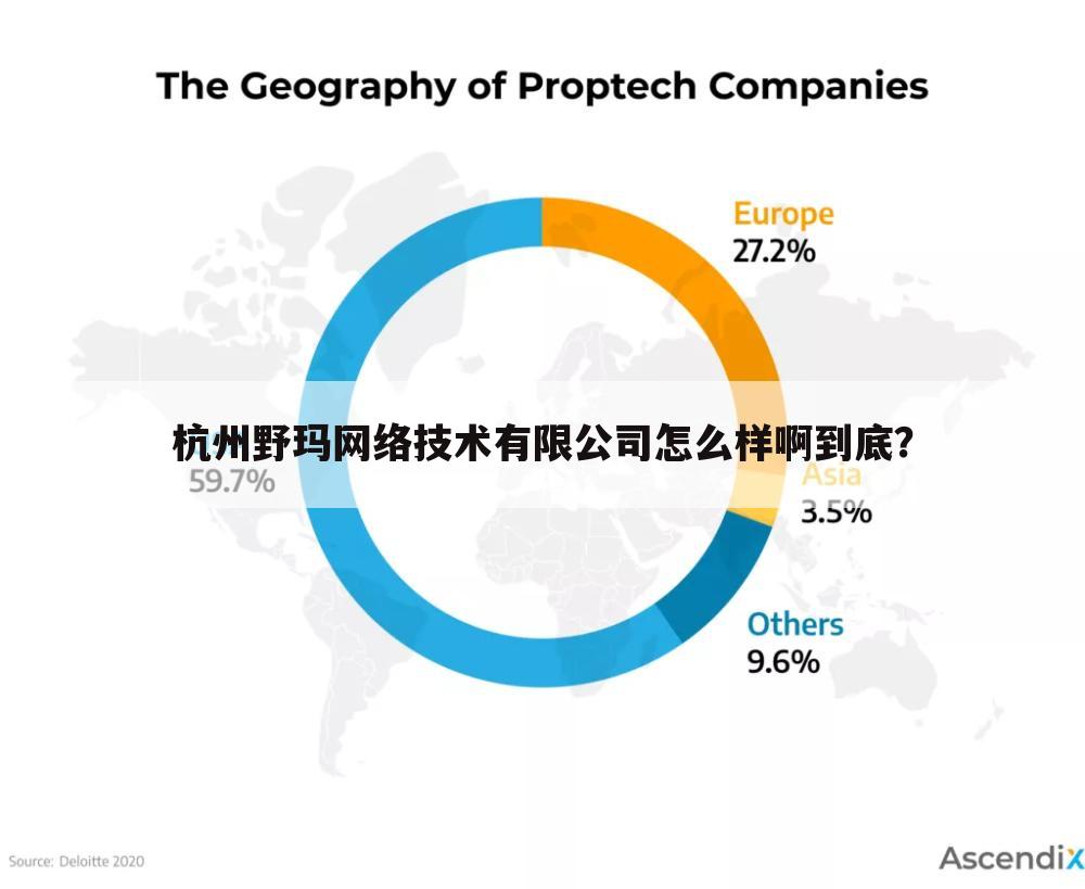 杭州野玛网络技术有限公司怎么样啊到底？