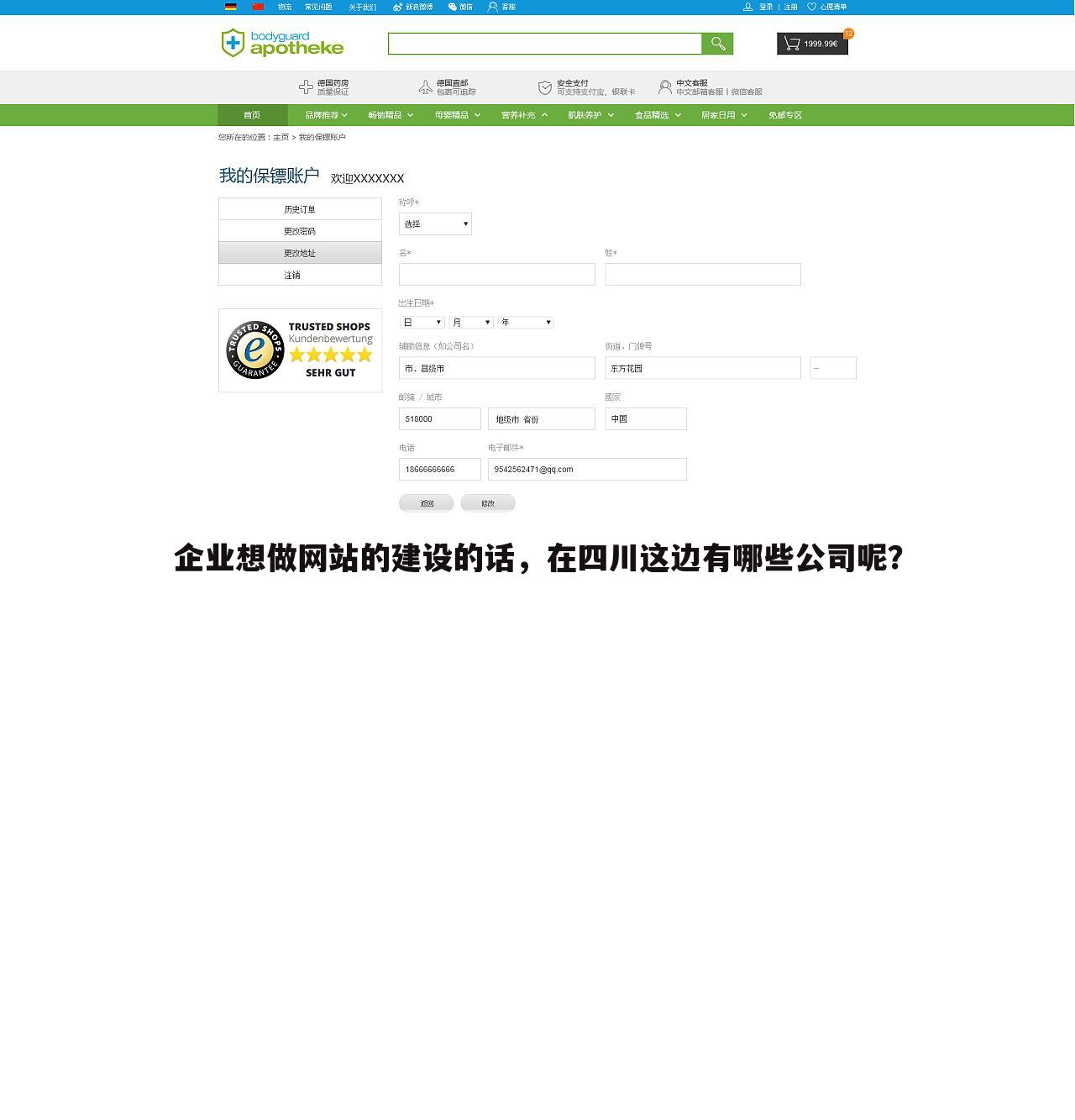 企业想做网站的建设的话,在四川这边有哪些公司呢?