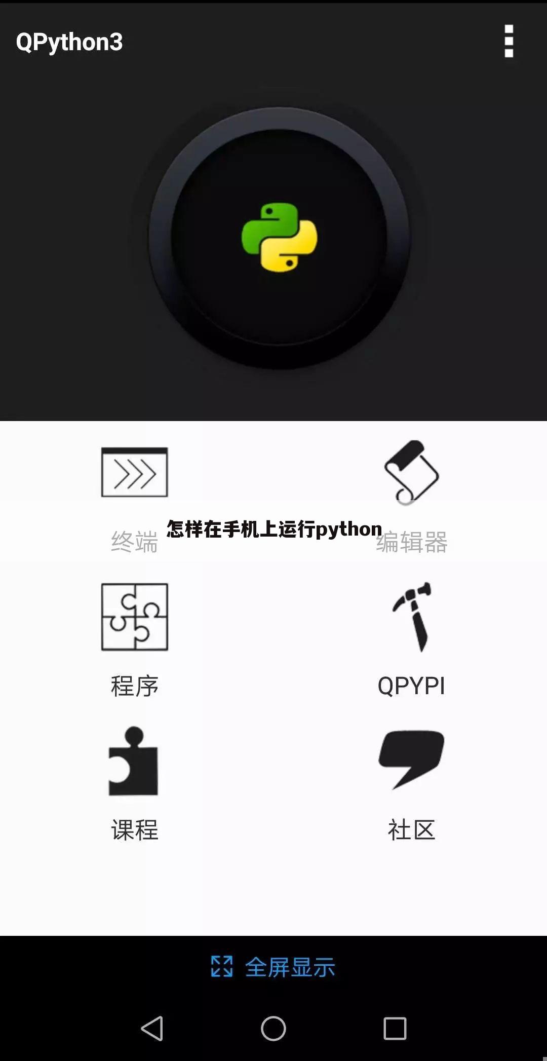 怎样在手机上运行python
