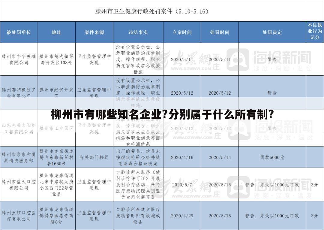 柳州市有哪些知名企业?分别属于什么所有制?