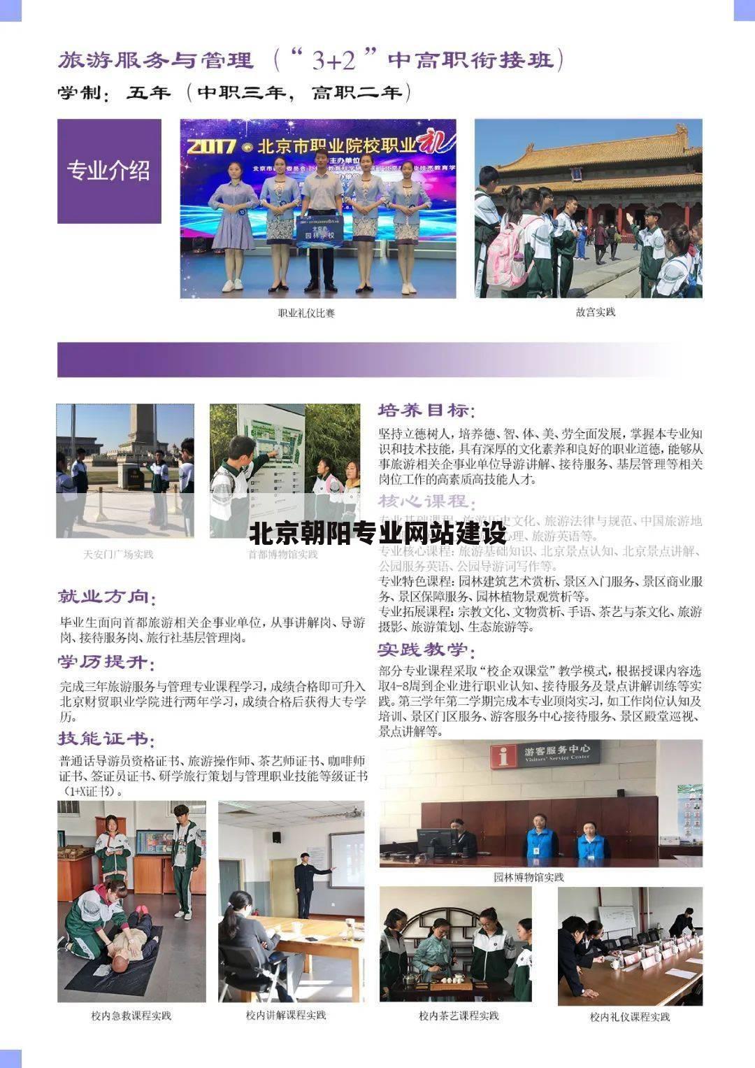 北京朝阳专业网站建设
