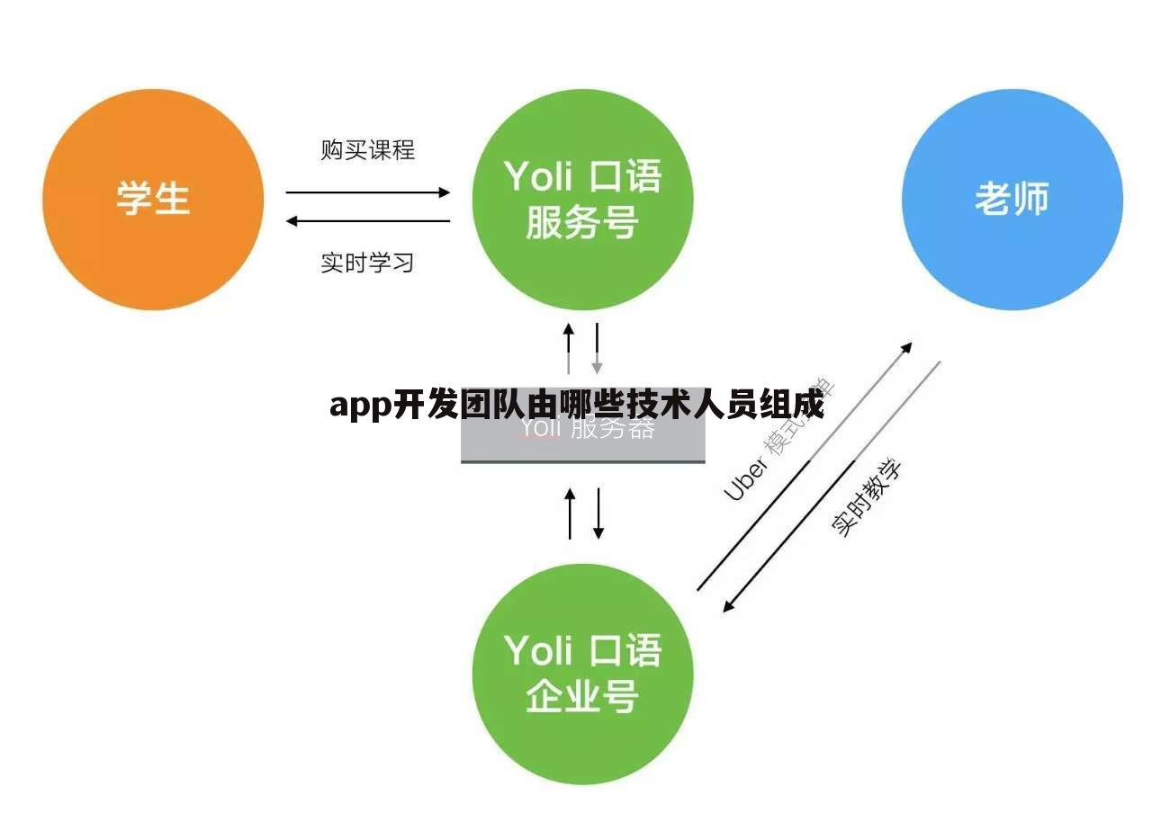 app开发团队由哪些技术人员组成