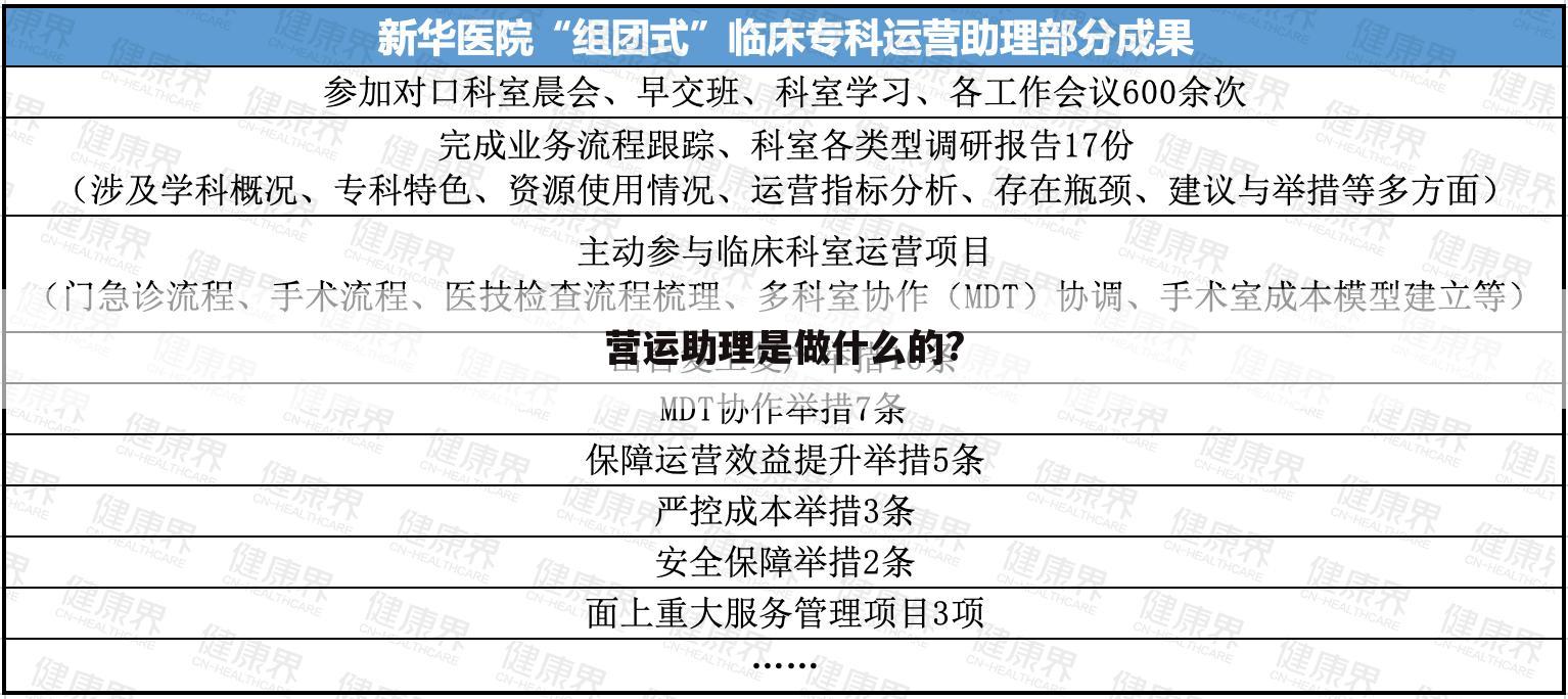 营运助理是做什么的?