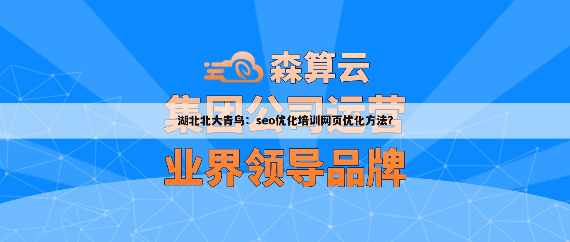 湖北北大青鸟：seo优化培训网页优化方法？