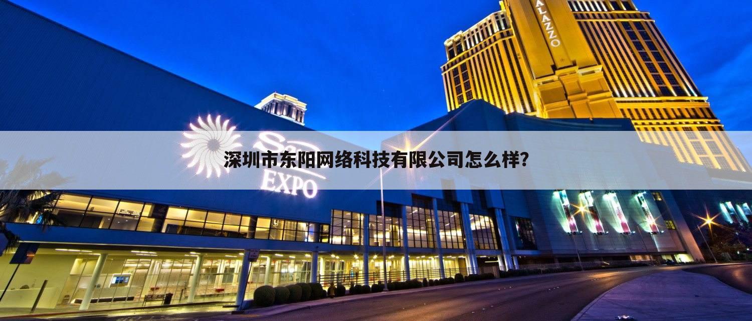 深圳市东阳网络科技有限公司怎么样?