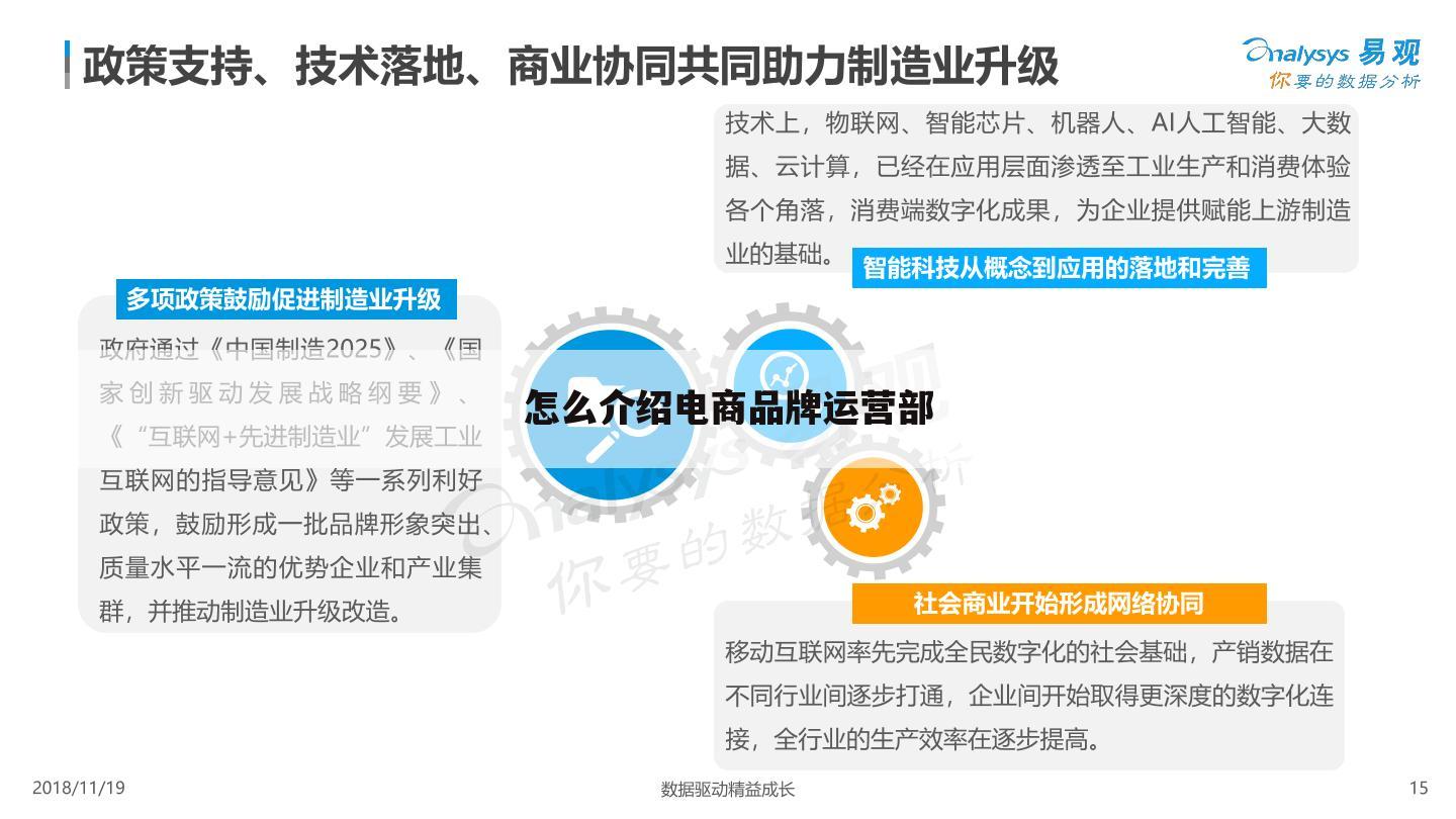 怎么介绍电商品牌运营部