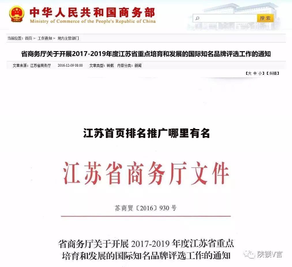 江苏首页排名推广哪里有名
