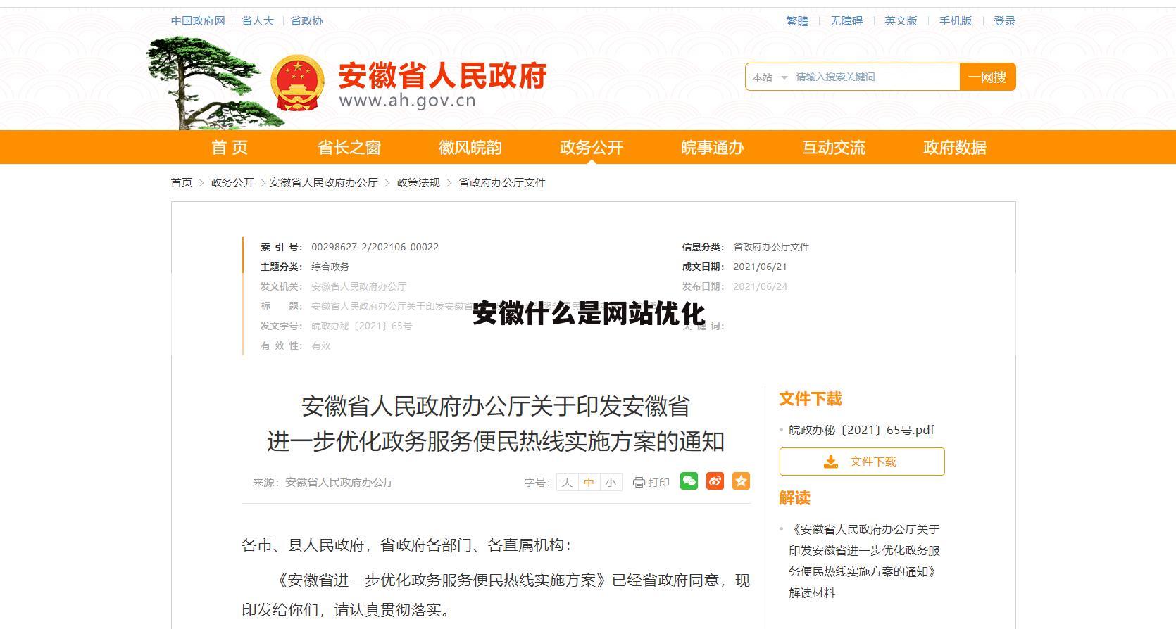 安徽什么是网站优化