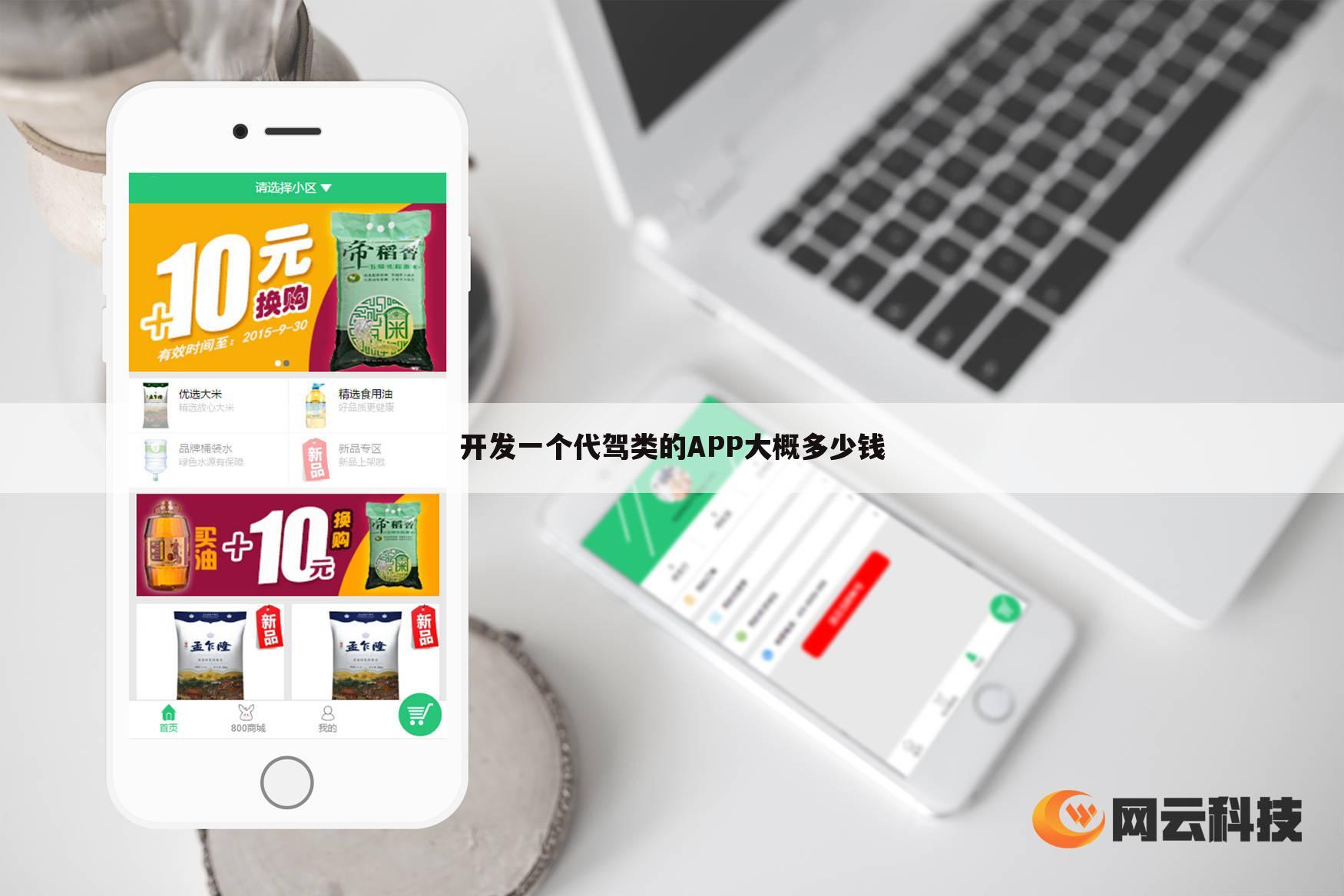 开发一个代驾类的APP大概多少钱