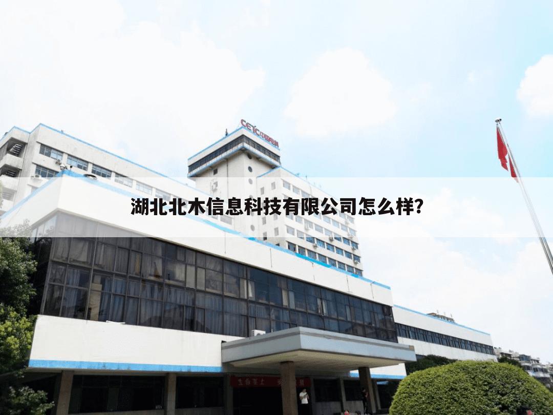 湖北北木信息科技有限公司怎么样?