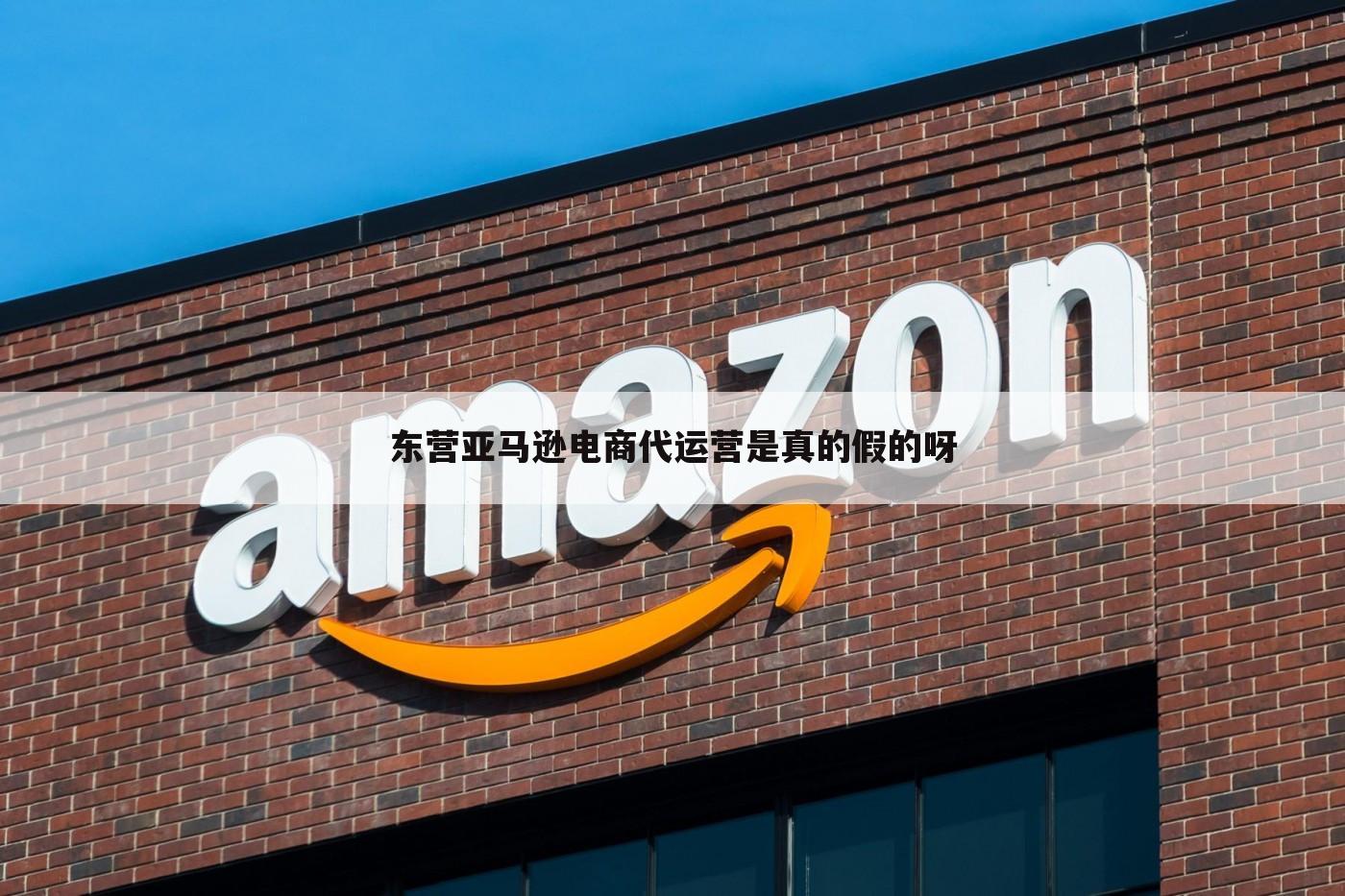 东营亚马逊电商代运营是真的假的呀