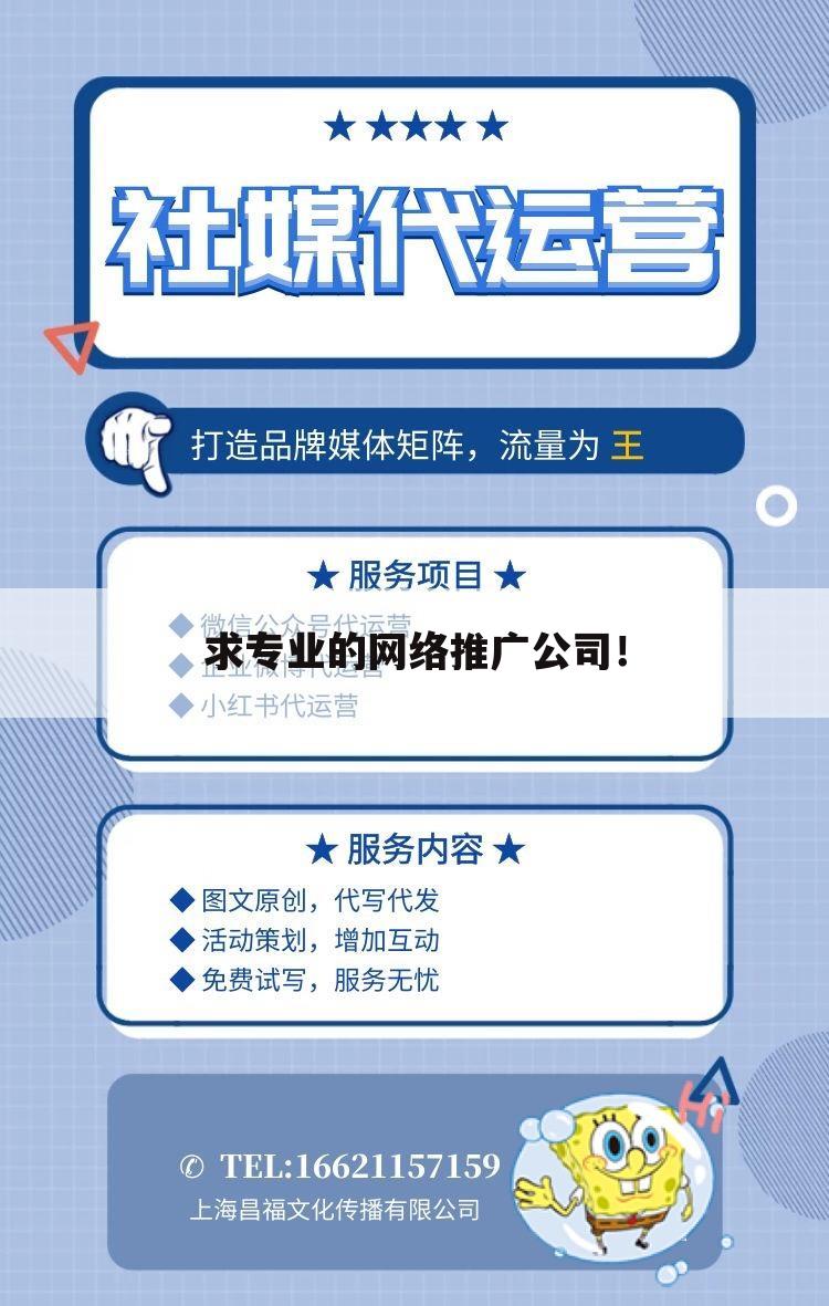 求专业的网络推广公司！