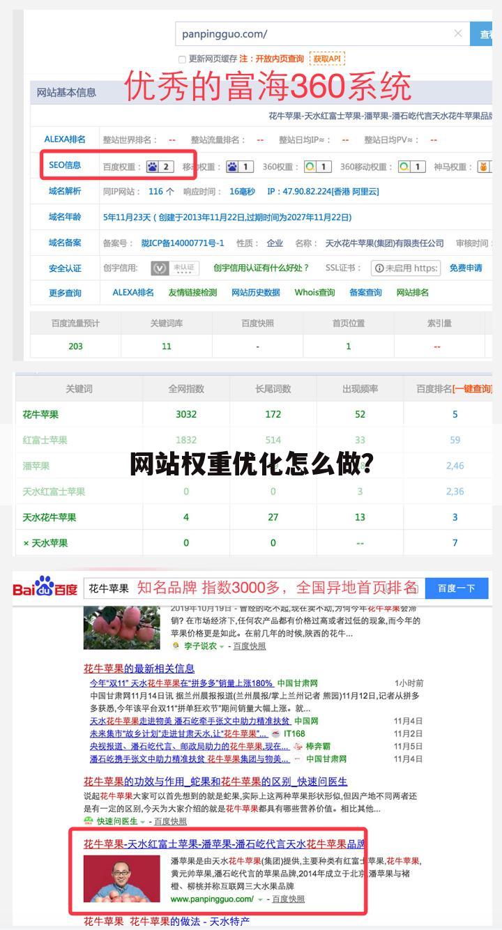 网站权重优化怎么做？