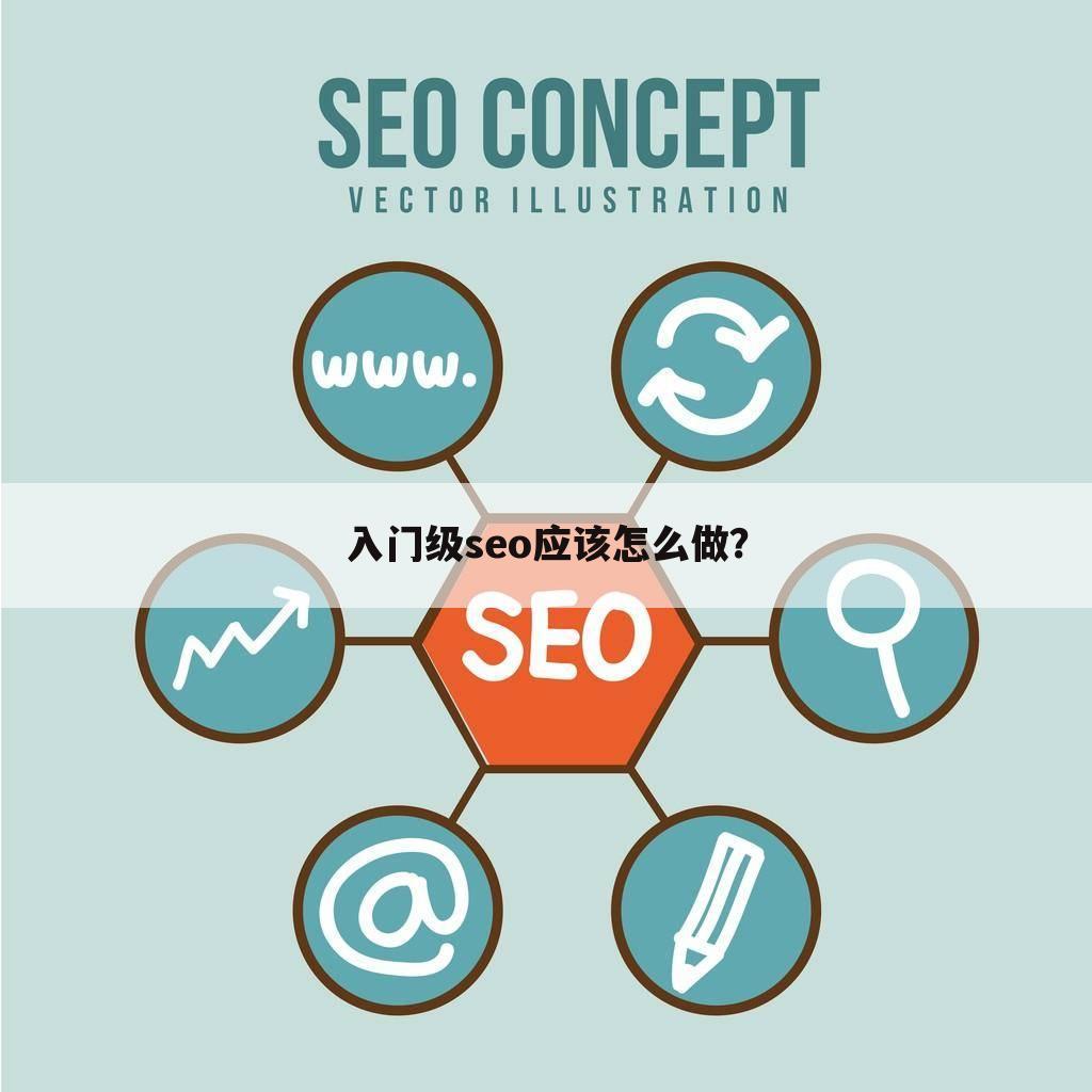 入门级seo应该怎么做？