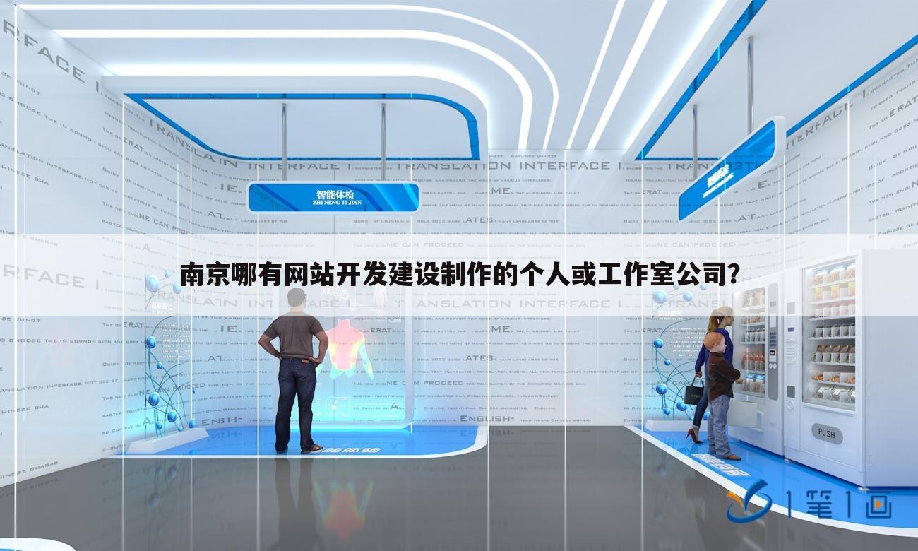 南京哪有网站开发建设制作的个人或工作室公司?