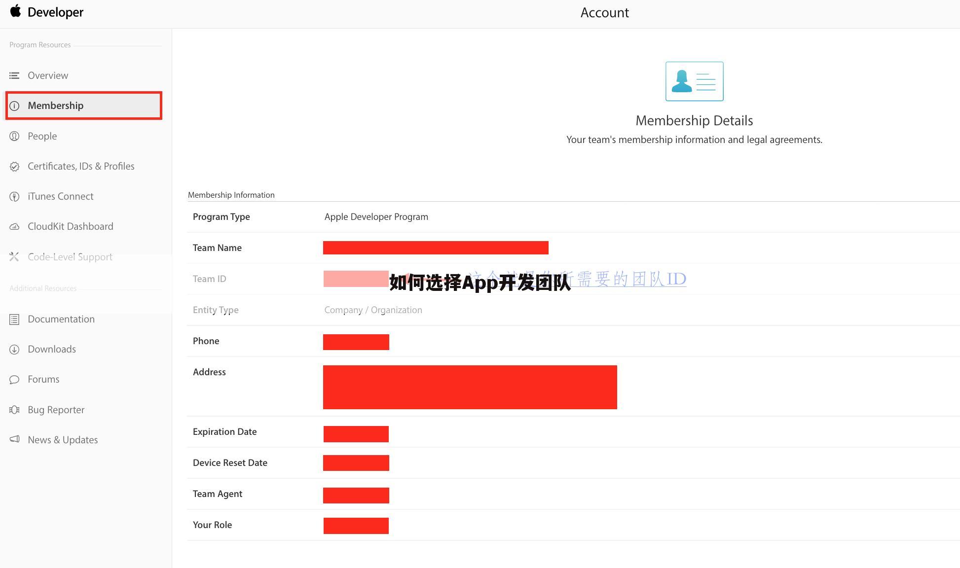 如何选择App开发团队