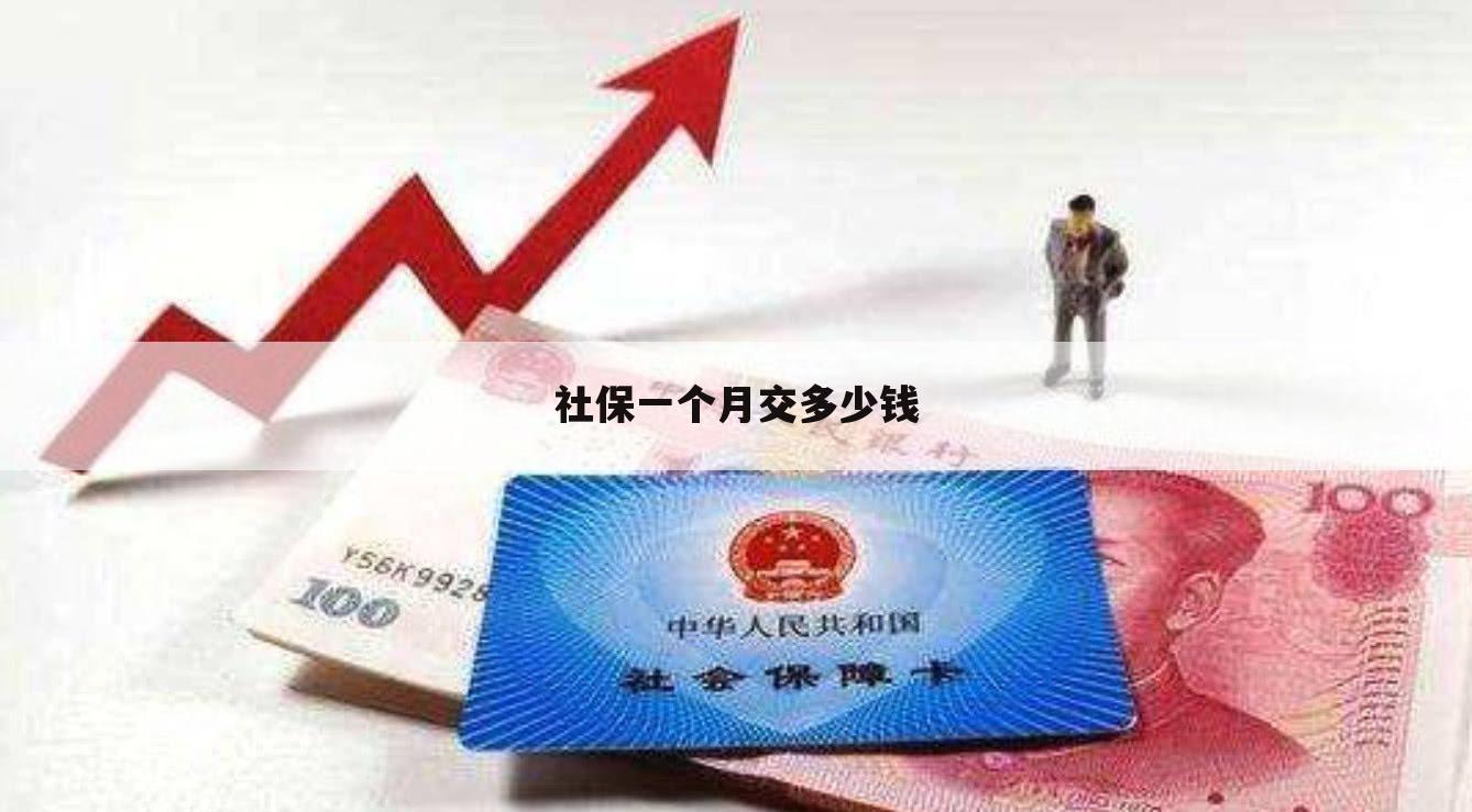 社保一个月交多少钱