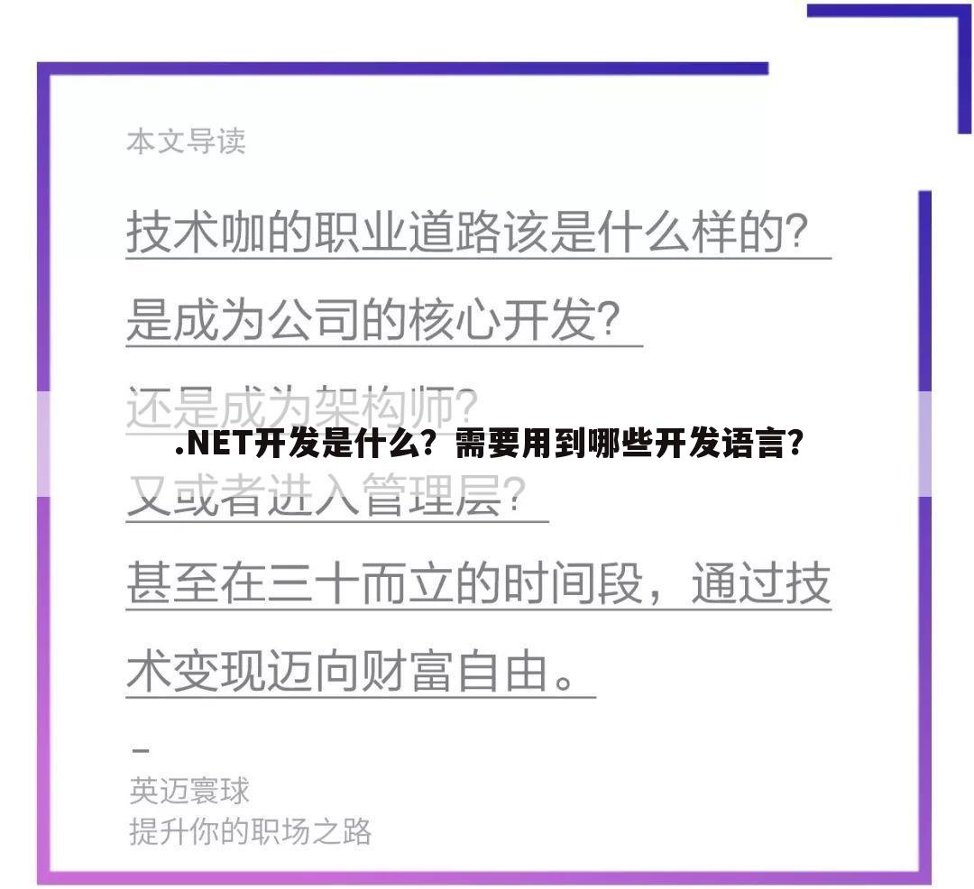 .NET开发是什么?需要用到哪些开发语言?