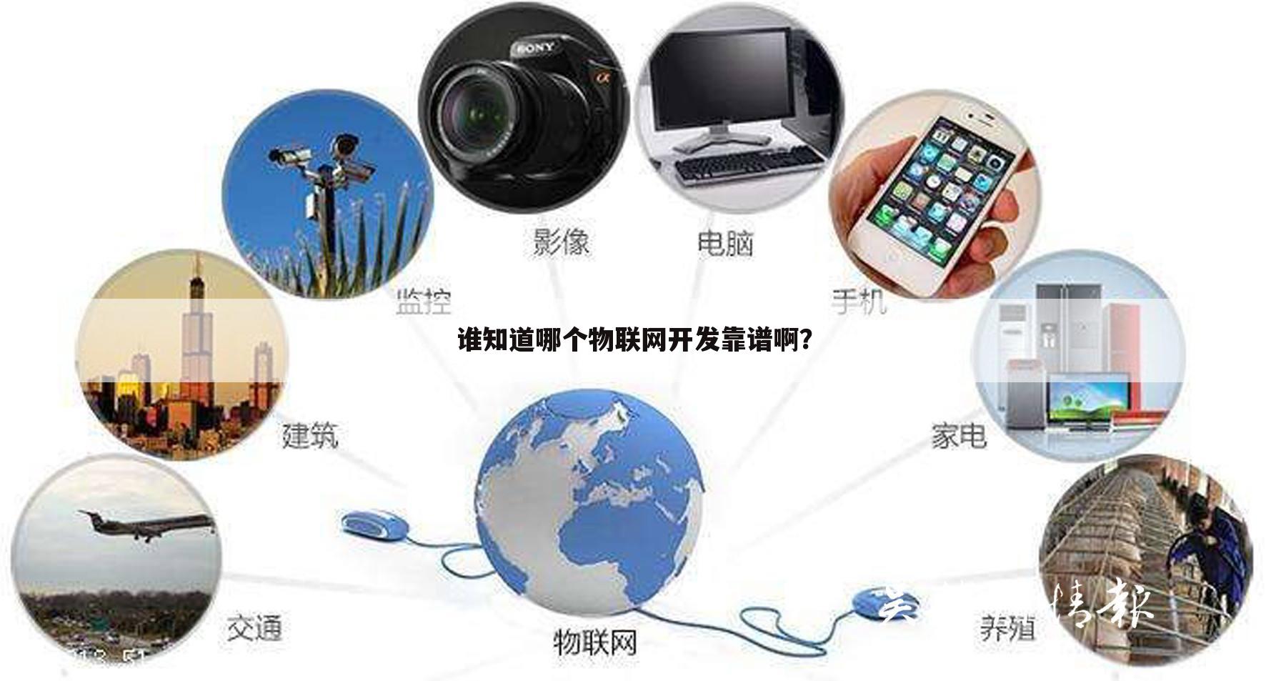 谁知道哪个物联网开发靠谱啊?