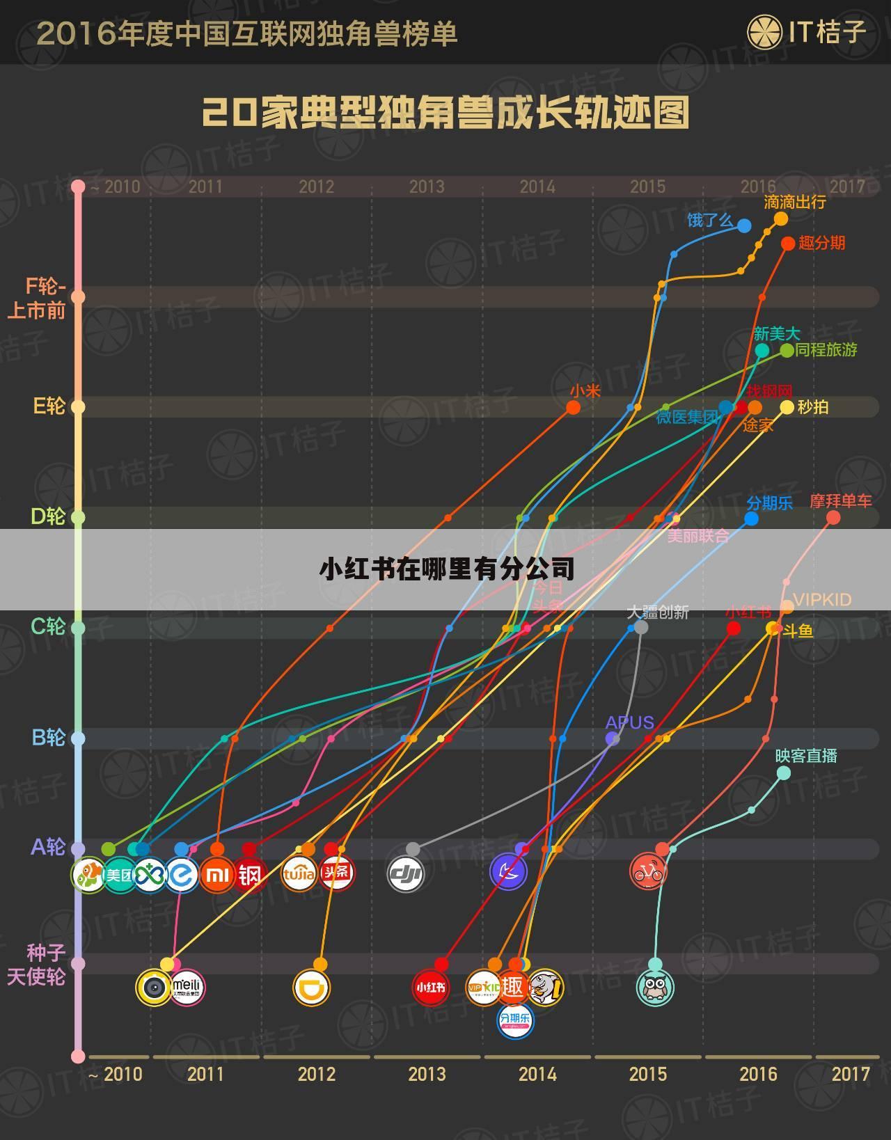 小红书在哪里有分公司
