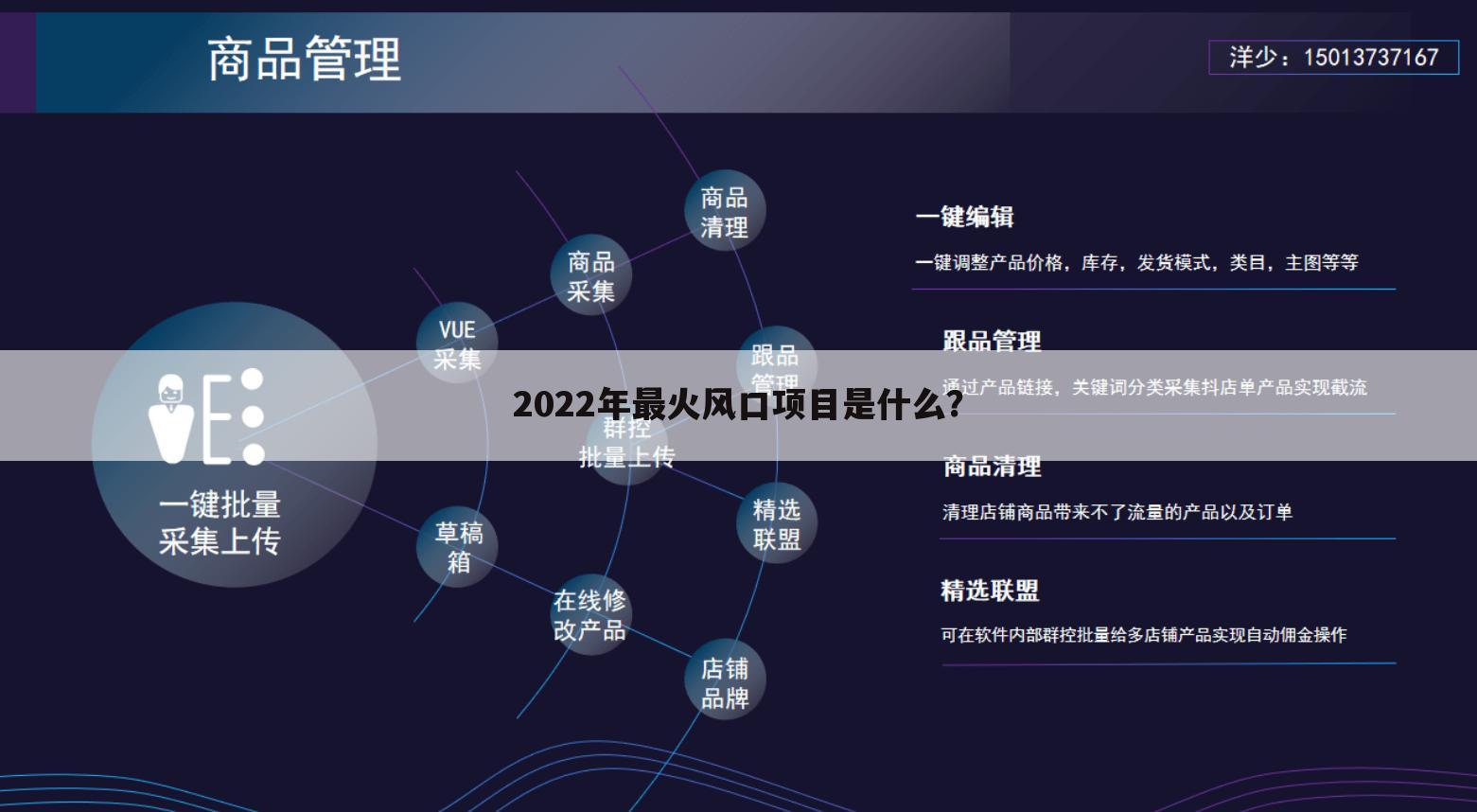 2022年最火风口项目是什么？