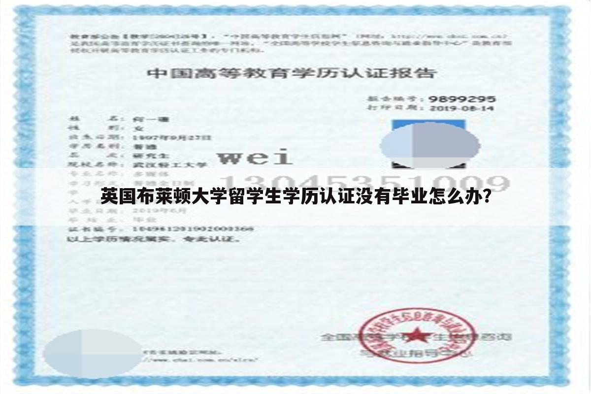 英国布莱顿大学留学生学历认证没有毕业怎么办?