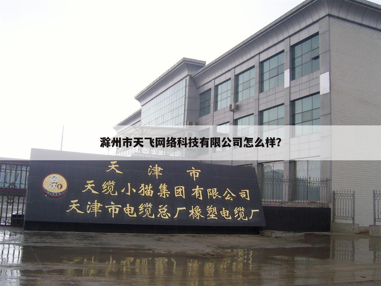 滁州市天飞网络科技有限公司怎么样？