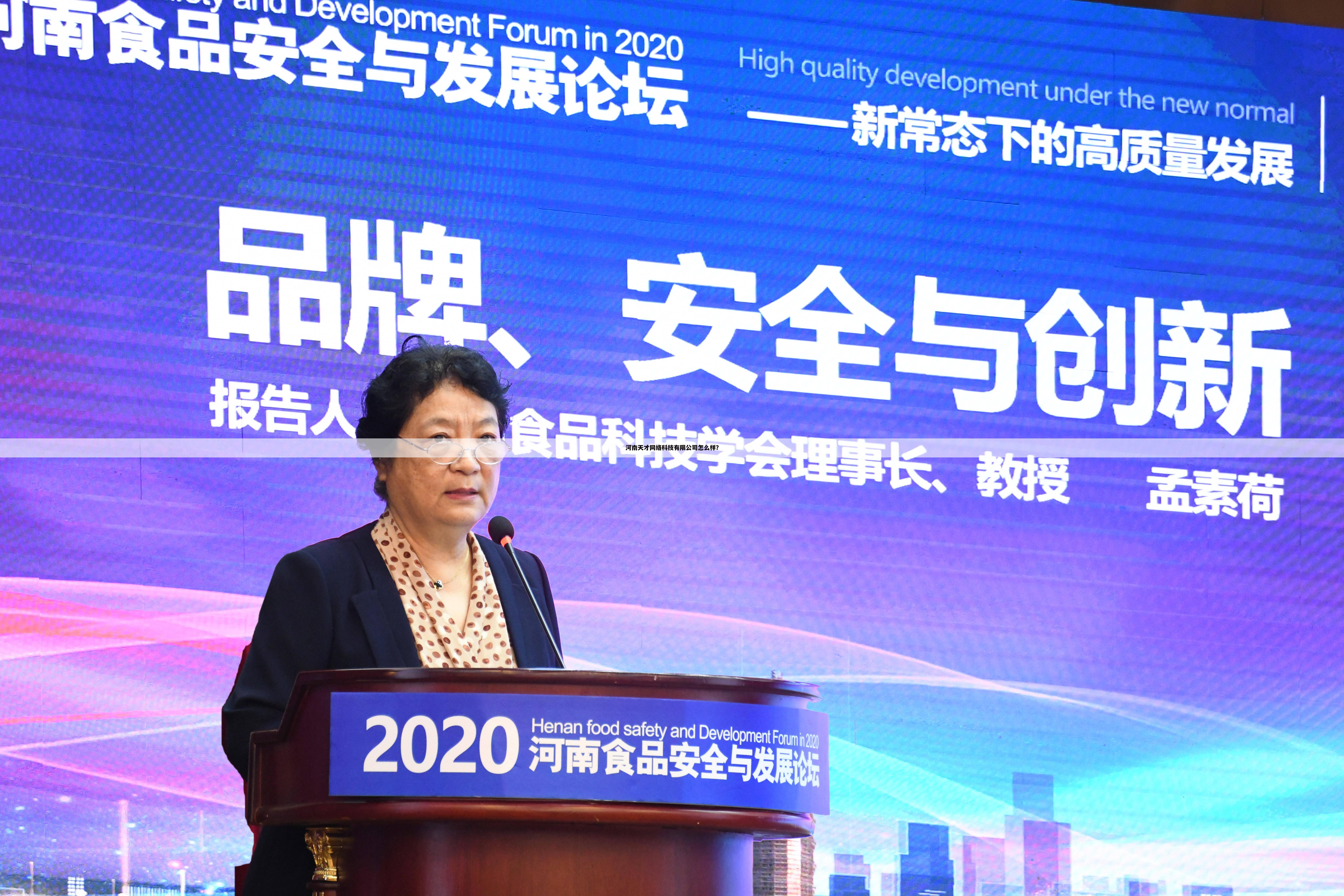 河南天才网络科技有限公司怎么样？