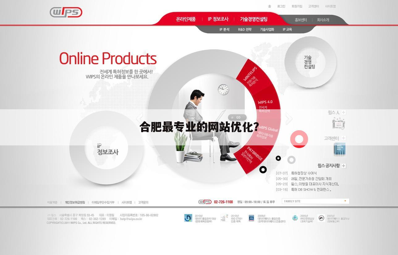 合肥最专业的网站优化？