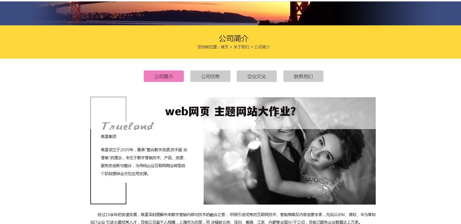 web网页 主题网站大作业？