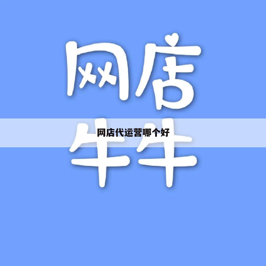 网店代运营哪个好