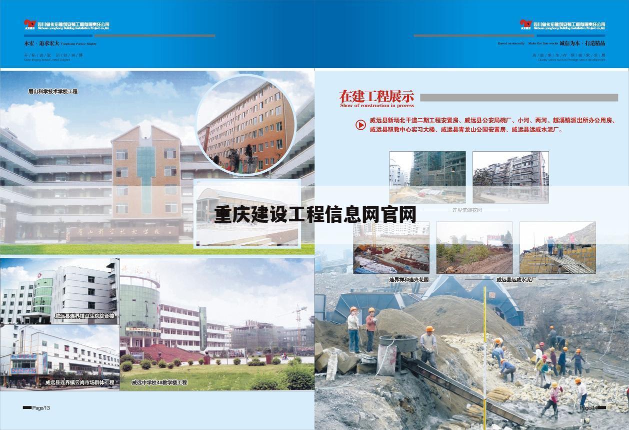 重庆建设工程信息网官网