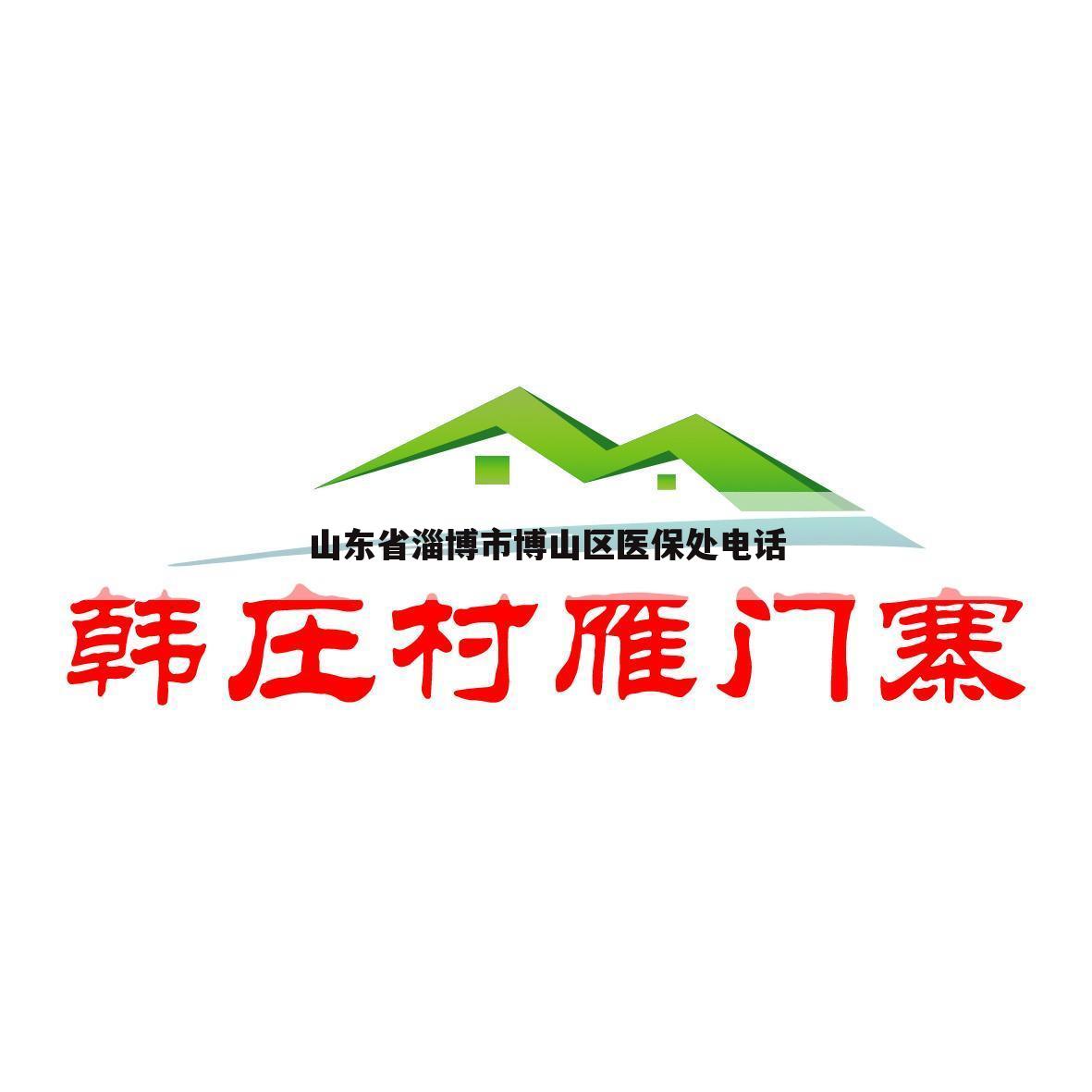 山东省淄博市博山区医保处电话