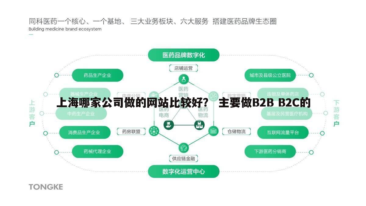 上海哪家公司做的网站比较好？ 主要做B2B B2C的