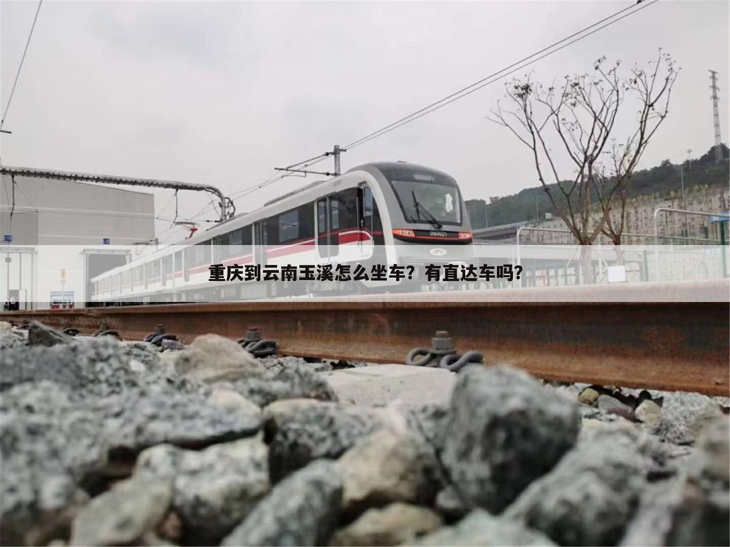 重庆到云南玉溪怎么坐车？有直达车吗？