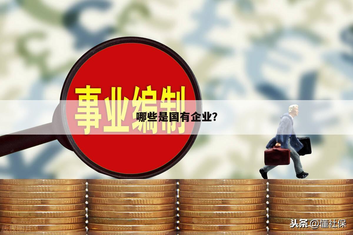 哪些是国有企业?