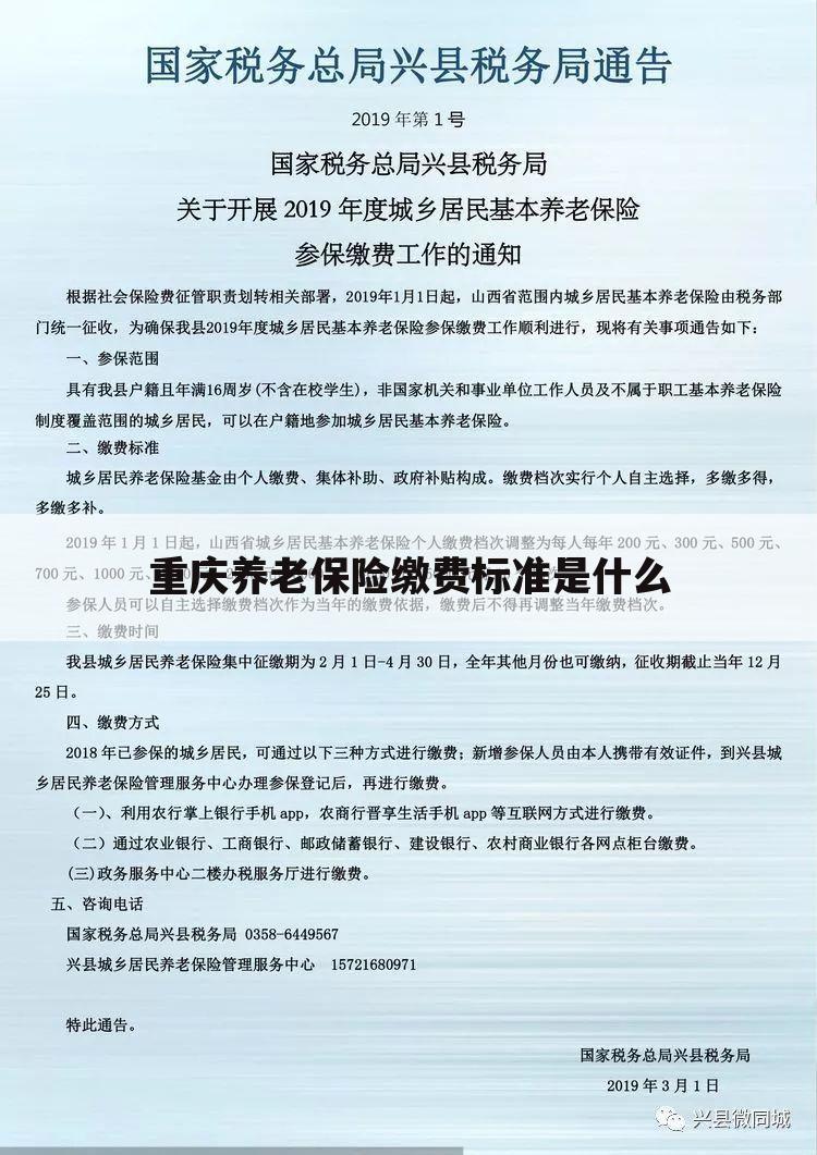 重庆养老保险缴费标准是什么