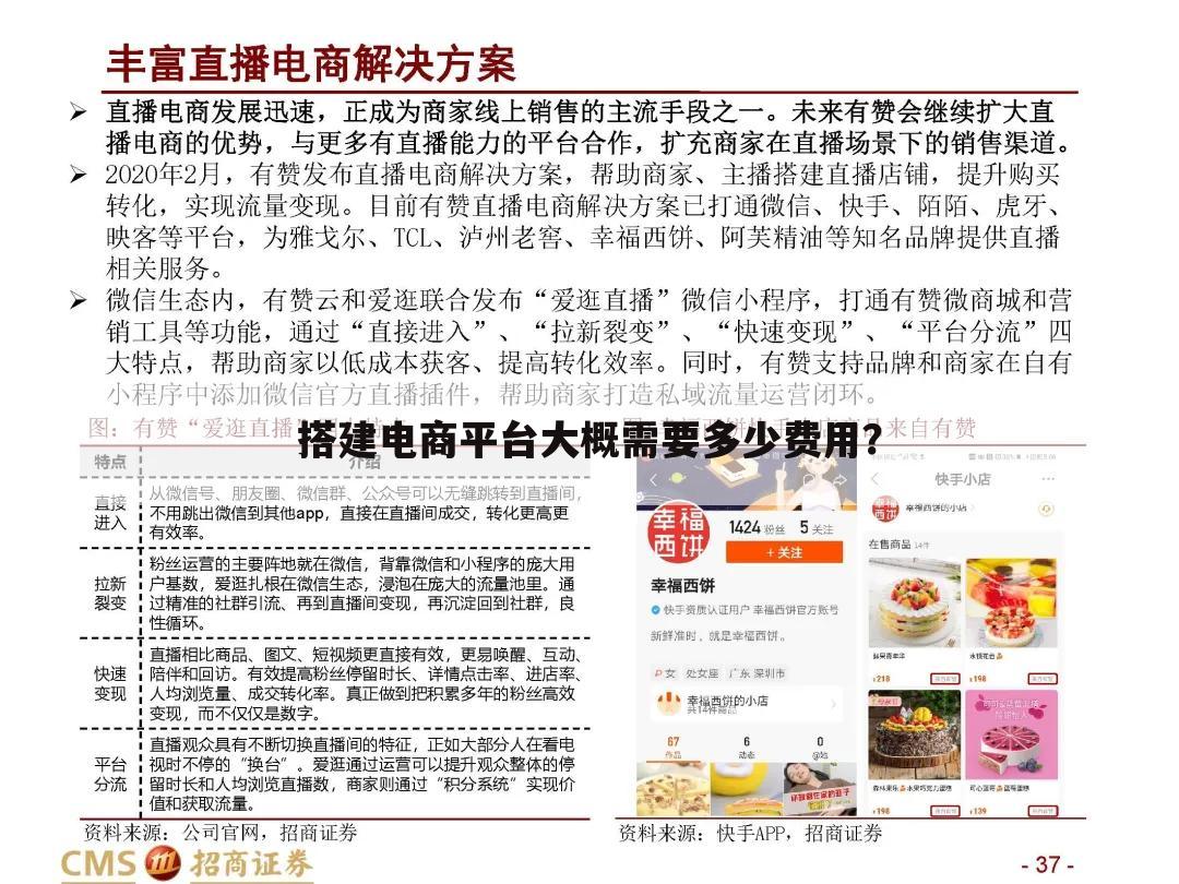 搭建电商平台大概需要多少费用?