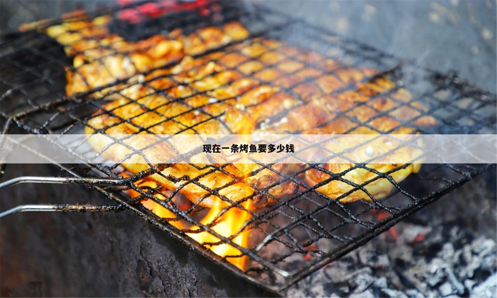 关于重庆正宗烤鱼要多少钱一斤的一些相关词条