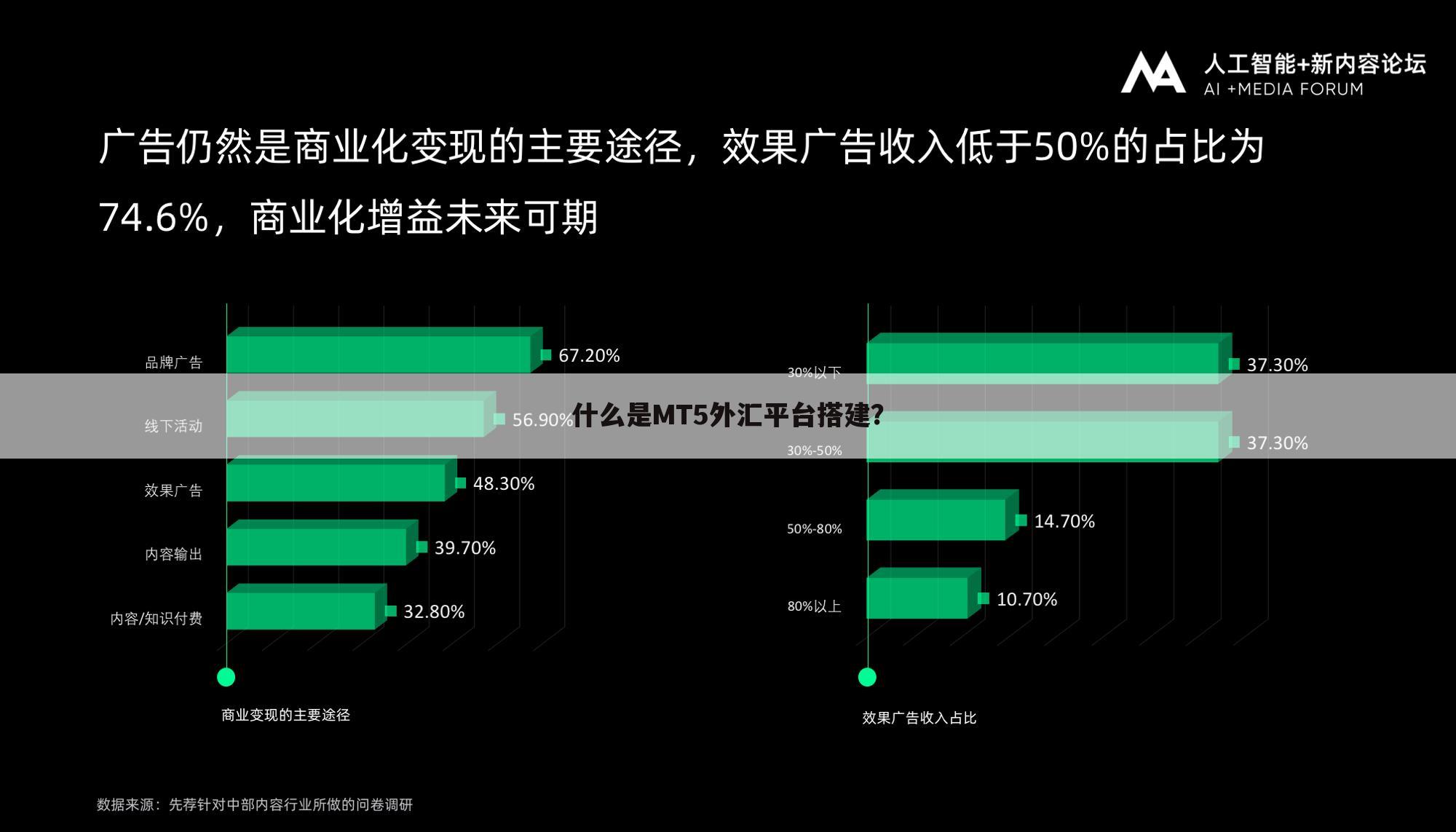 什么是MT5外汇平台搭建?